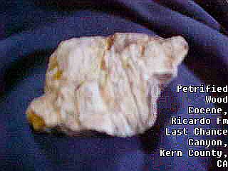 Petrified wood